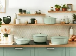 Tefal LOV Braadpan - 5L - Ø25 Cm - Groen -Pot Kortingswinkel 1200x900 34