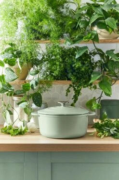 Tefal LOV Braadpan - 5L - Ø25 Cm - Groen -Pot Kortingswinkel 800x1200 13